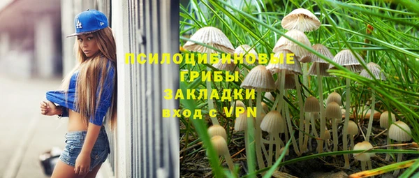 спиды Белокуриха