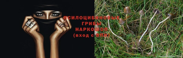 винт Семёнов