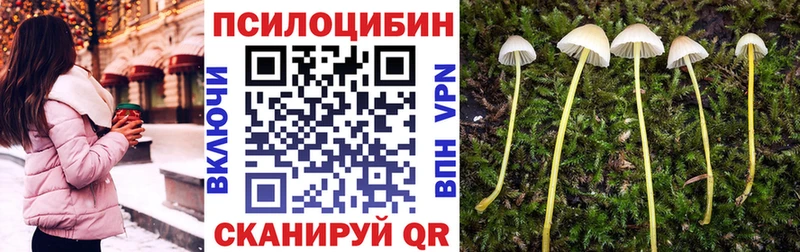 Галлюциногенные грибы мицелий  Нариманов 