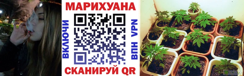 Марихуана индика  Нариманов 
